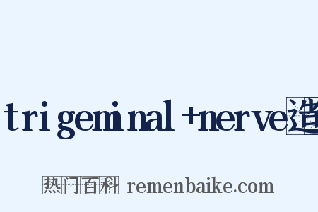 trigeminal+nerve造句是什么意思的图片